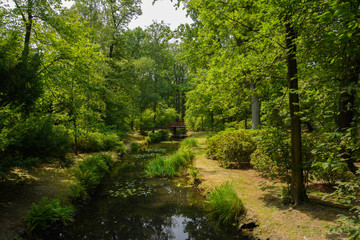 brook in the green park