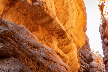 Hiking in the White Owl Canyon of Lake Mead National Recreation Area
