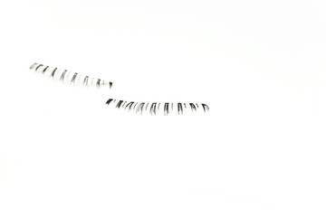 makeup false eye lashes on white background 