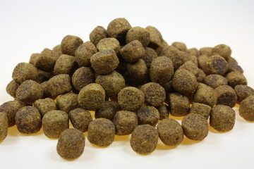 Trockenfutter für Hunde