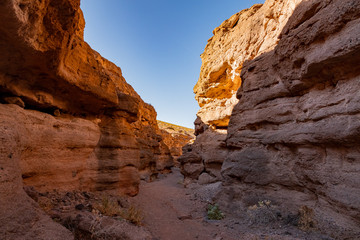 Hiking in the White Owl Canyon of Lake Mead National Recreation Area