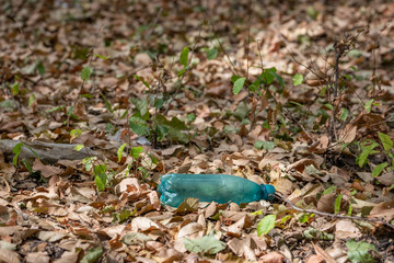Plastic bottles inside a beautiful forest. Environmental pollution.