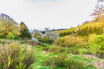 German Eifel landscape in spring with gentle slopes and budding green of trees and shrubs and flowering blackthorn against blue sky with clouds veil