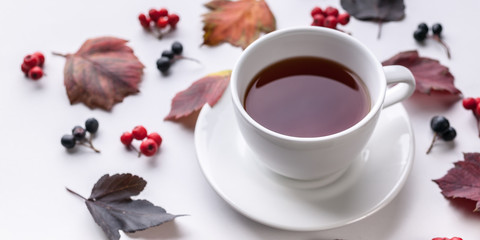 Banner: White Tea Mug, Leaves and berries. Autumn composition. Red foliage, ceramic teacup and small fruits on white background. Fallen leaf and rowanbery. Fall season creative botanical backdrop