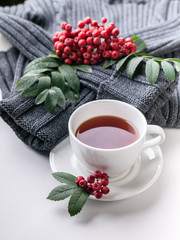 Ceramic teacup on white served table. Herbal tea in porcelain mug with saucer. Knitted sweater, rowan branch still life. Hot autumn season beverage. British breakfast