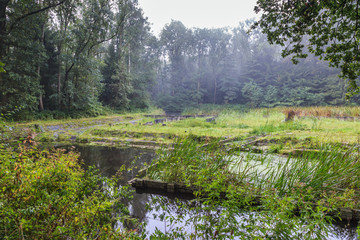 Watercourses with  remnants of hydraulic experimental installations in the Waterloopbos in the Dutch province of Flevoland