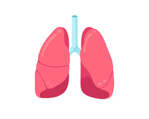 Lungs flat icon. Human respiratory system healthy internal organ. Healthcare medicine anatomy vector illustration
