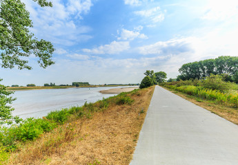 River landscape Millingerwaard along the Waal river at sunrise with a paved road floodplain forests and wild plants withered by drought against blue sky with scattered cloud