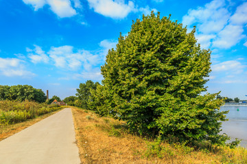 River landscape Millingerwaard along the Waal river with a paved road with lime trees, Tilia, and wild plants withered by blue sky with scattered cloud and abandoned plant in background