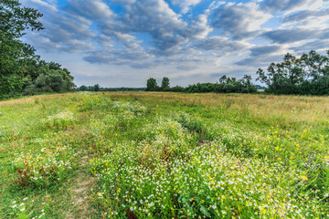 Summer river landscape nature reserve  Millingerwaard with basins for overflow river water at high...