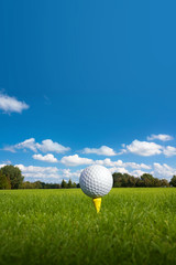 Golf ball on tee green grass