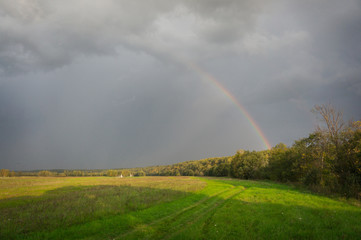 Rainbow over the field