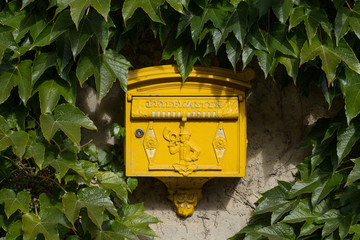 Yellow old german "Briefkasten" Mailbox between Vine leaves at the Hornberg Castle