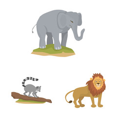 Isolated object of zoo and park symbol. Set of zoo and animal vector icon for stock.