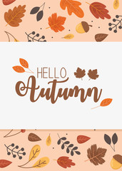 hello autumn banner season design