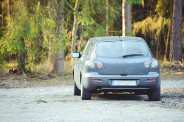 Car parked next to the wood