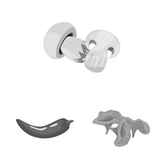 Vector illustration of spices and aroma logo. Collection of spices and product stock symbol for web.