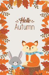 cute animal hello autumn season design