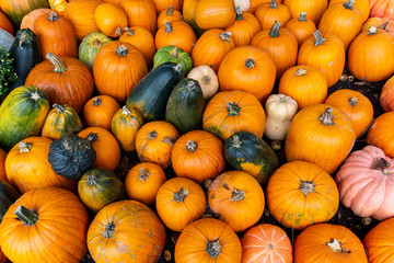 Pumpkins