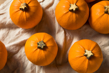 Raw Organic Mini Orange Pumpkins
