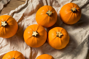 Raw Organic Mini Orange Pumpkins