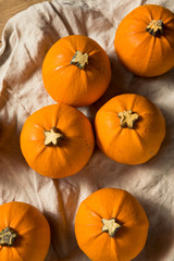 Raw Organic Mini Orange Pumpkins