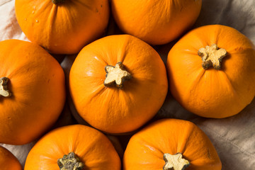 Raw Organic Mini Orange Pumpkins