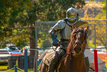Knight
