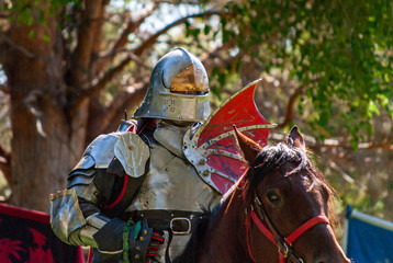 Knight