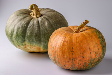Pumpkins of green and orange on a white background with a shadow, Autumn still life, Halloween minimal concept, Horizontal orientation