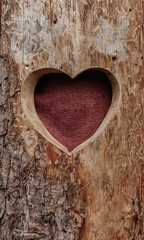 heart shaped in wood trunk