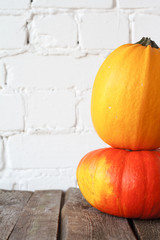 Close-up autumn pumpkins on thanksgiving table, white brick backdrop, selective focus