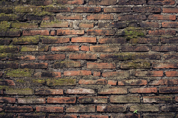 Old brick wall