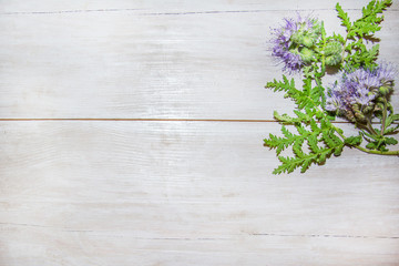 purple flowers with green leaves light gray tree background. wood texture background. top view background