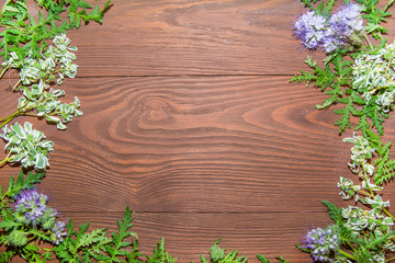 purple flowers with green leaves dark brown tree background. wood texture background. top view background