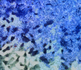 Colorful scratched grunge texture. Dry oil strokes background. Design pattern.