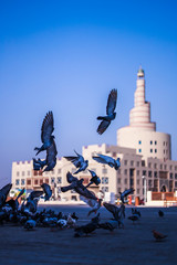 statue of liberty in city