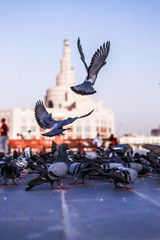 statue of liberty in city