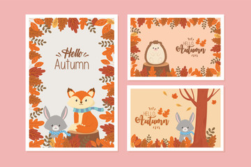 cute animal hello autumn season design