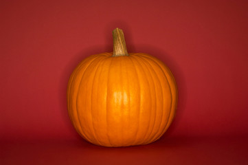 Pumpkin isolated on red background. Fall, Halloween and Thanksgiving concept. Styled stock flat lay photography. 