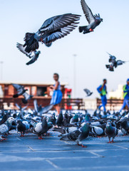 statue of liberty in city