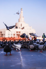 statue of liberty in city