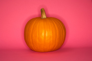 Pumpkin isolated on pink background. Fall, Halloween and Thanksgiving concept. Styled stock flat lay photography. 