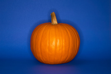 Pumpkin isolated on blue background. Fall, Halloween and Thanksgiving concept. Styled stock flat lay photography. 