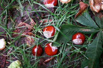  Concrete wall made of brick stones.