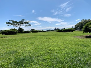 landscape with green field and blue sky
