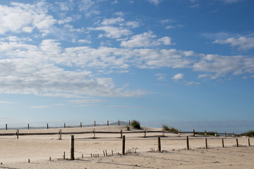 Fototapeta premium wood barrier fence on beach summer afternoon