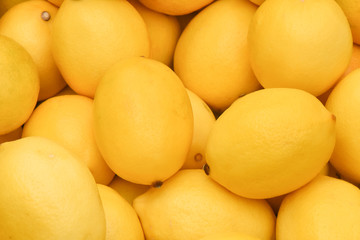 Fresh organic lemons for sale in the market.