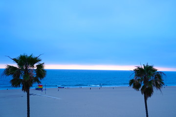 Two Palm Trees at Beach Horizon