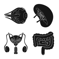 Isolated object of research and laboratory symbol. Collection of research and organ stock symbol for web.